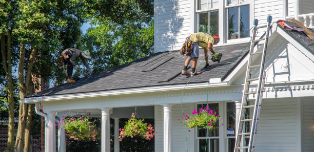Professional Roofing Contractor in Hainesville, IL